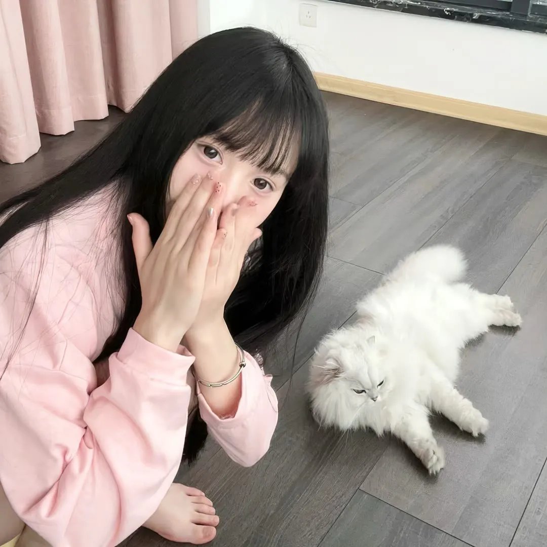 三只小猪